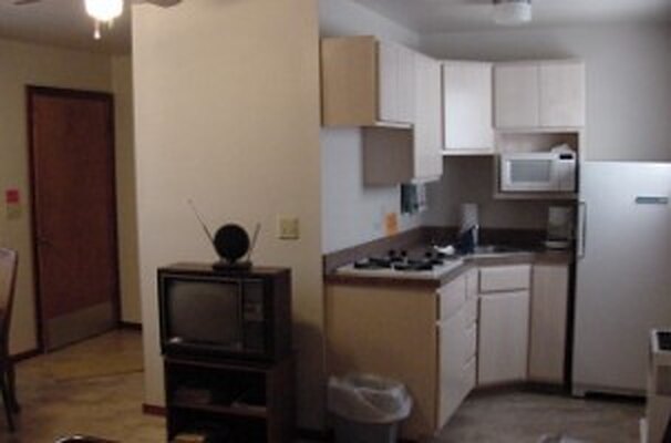 Cabin 2 kitchen with stove, microwave and refrigerator