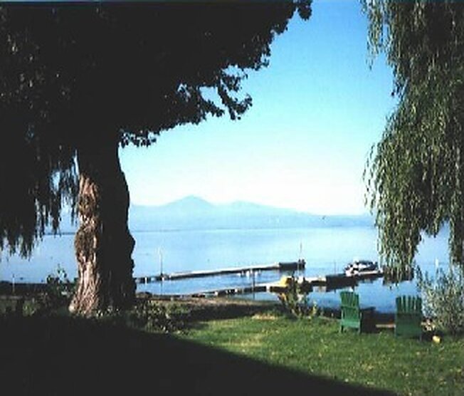 Willow tree, lawn and dock looking across Agency Lake